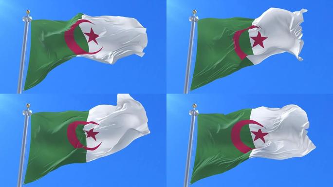 阿尔及利亚国旗在蓝天下挥舞，循环
