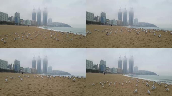 多雨的冬季海云台海滩