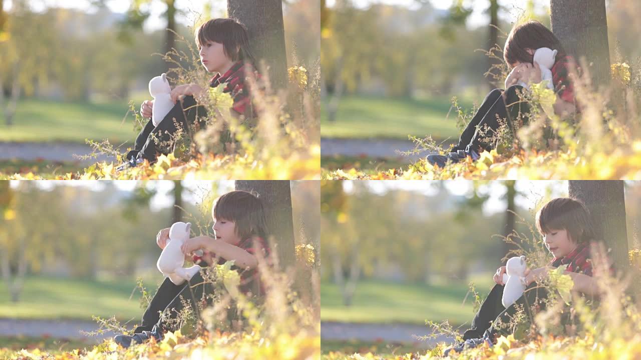 可爱的小男孩和泰迪熊在公园里，在一个秋天的下午，坐在草地上