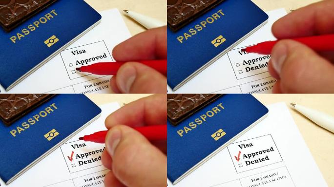 批准签证的决定