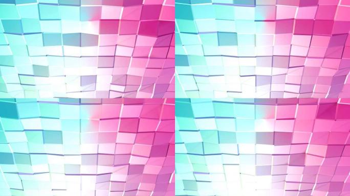 抽象简单的蓝色粉色低聚3D表面作为创意背景。移动纯蓝粉色多边形的软几何低多边形运动背景。4k全高清无