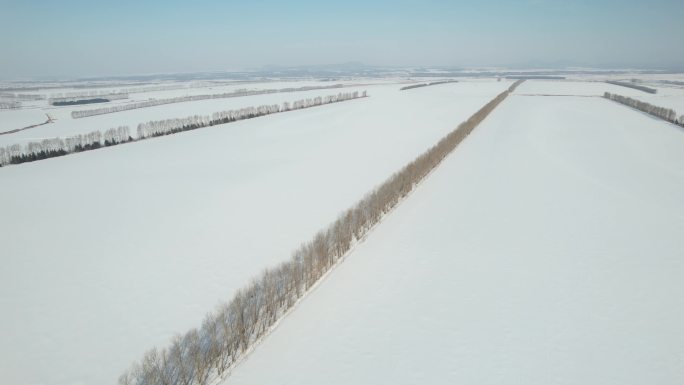 黑龙江五大连池平原林海雪原自然风光