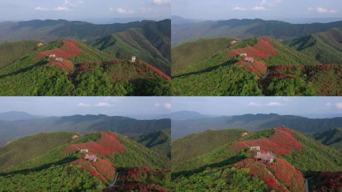 江西萍乡广寒寨杜鹃花风景