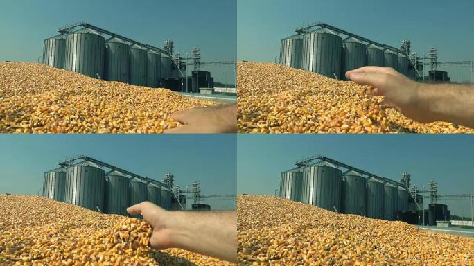 玉米种子在手，筒仓储存