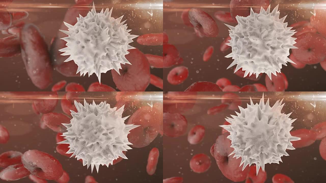 白细胞和红细胞显微镜3d渲染