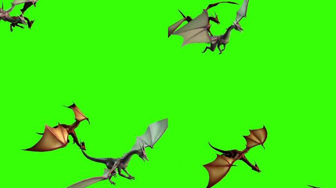 飞龙的3d动画-在绿色屏幕上分开