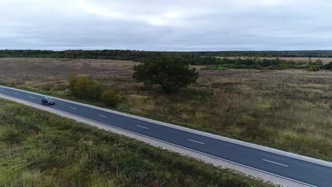 道路旁的田野里的树