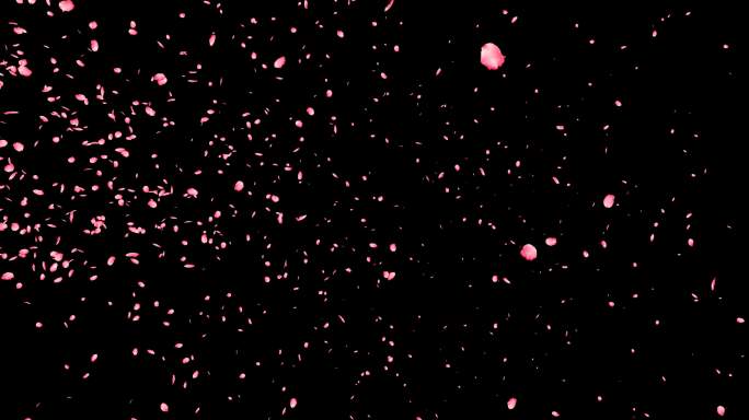 桃花粉色樱花花瓣飘洒带通道透明背景4K