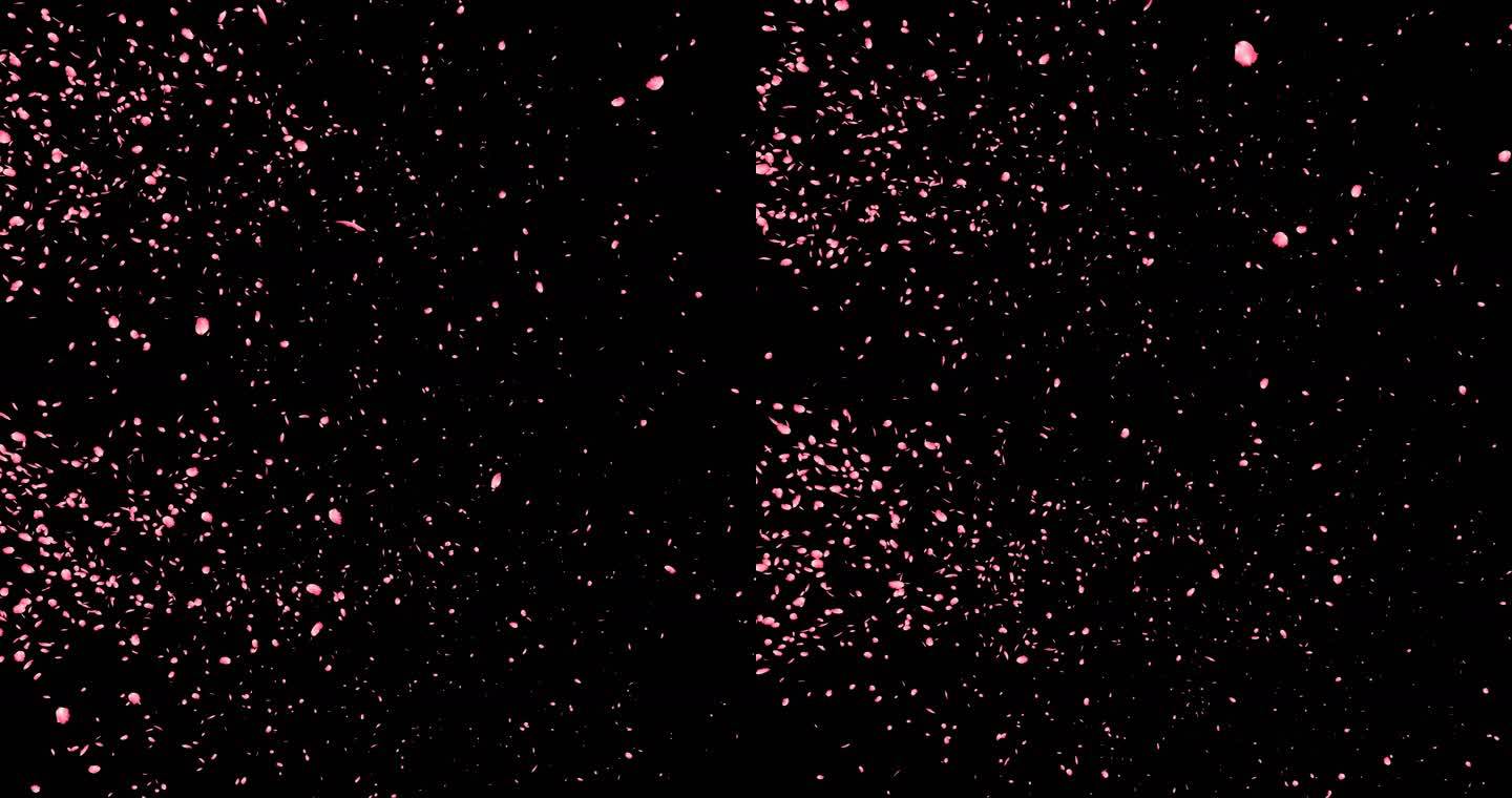 桃花粉色樱花花瓣飘洒带通道透明背景4K