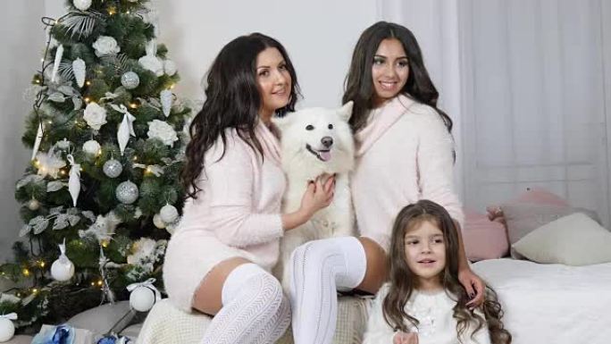 圣诞家庭与狗合影，在圣诞树的背景下在相机上拍照