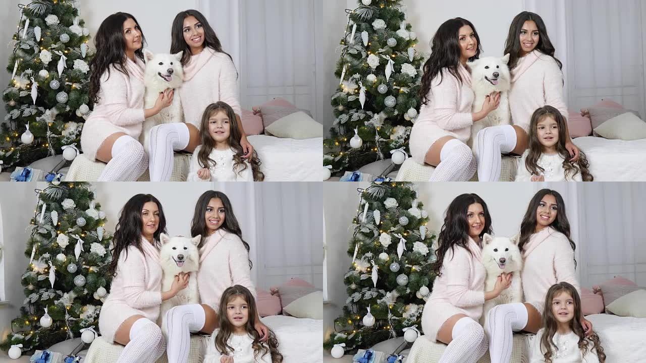 圣诞家庭与狗合影，在圣诞树的背景下在相机上拍照