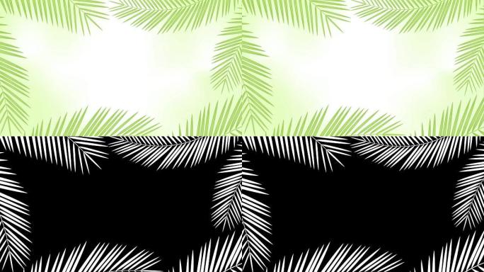 椰树树叶框架随风移动循环和复制空间动画4k在模糊绿色背景上与阿尔法通道