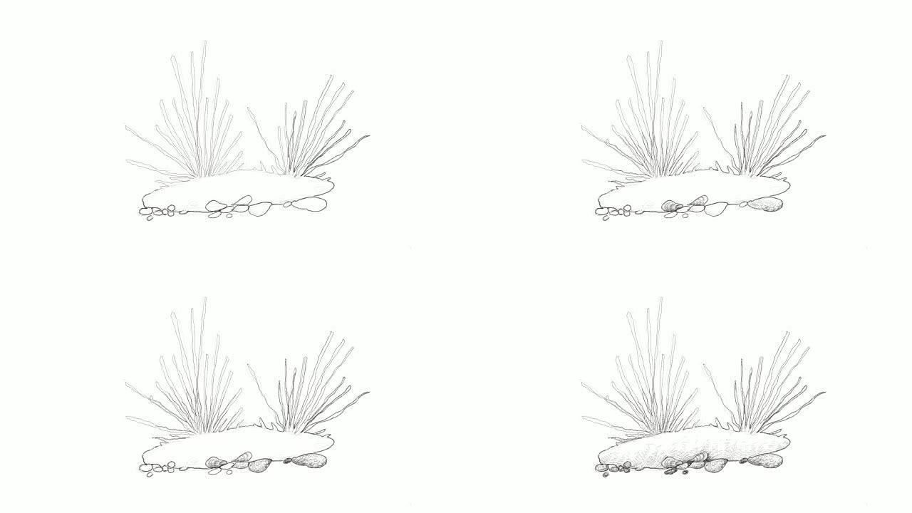 青鸟海藻视频剪辑手绘草图