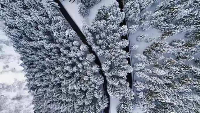 在山区积雪覆盖的冬季森林中，发夹弯转弯的高架俯视图。白松树树林。白雪街道路径建立。全高清无人机直飞建