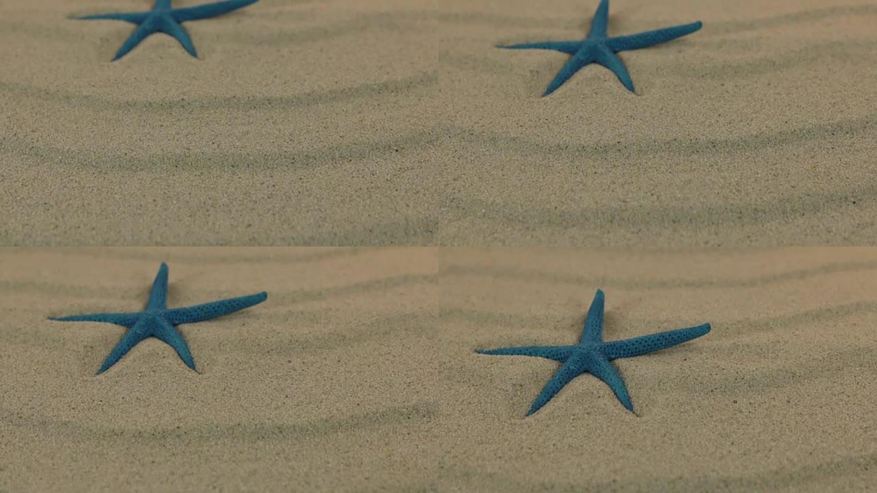 近似于躺在沙丘上的蓝色海星。多莉开枪