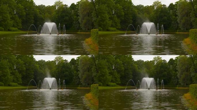 树木之间有喷泉的池塘