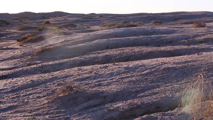 生态治理 航拍沙漠 沙漠湖水