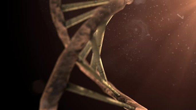线粒体DNA和RNA染色体遗传性疾病的损伤3d渲染