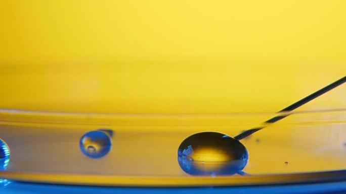 细针将水滴从医学实验室的玻璃表面拉入