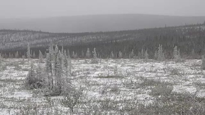 雪域亚北极苔原登普斯特高速公路鹰平原高原奥吉尔维山育空