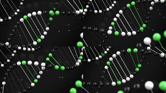 黑色背景上黑色，白色和绿色DNA链的光泽模型