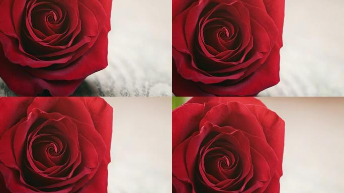木桌上的深红色玫瑰，有复制空间