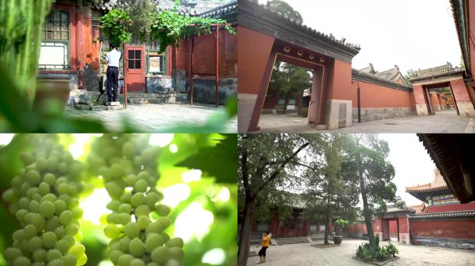 中国古建筑 故宫红墙 下雨天