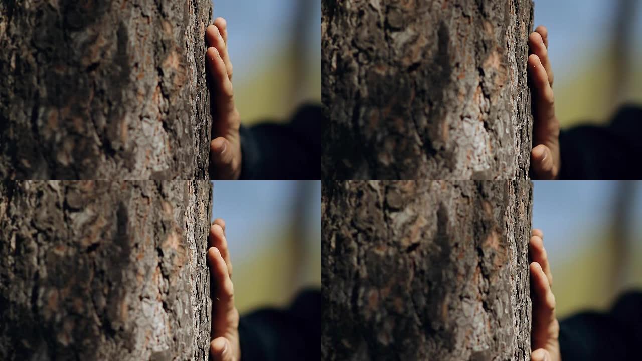 手触摸树。