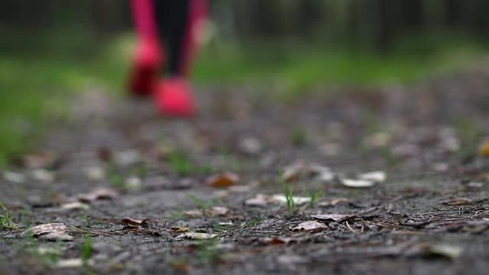 健身女士在森林里训练和慢跑