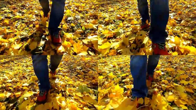 走在秋叶上的人。慢动作。
