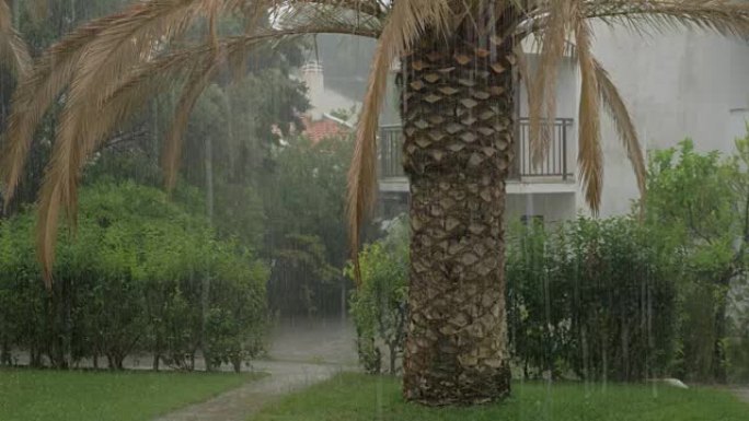 夏季大雨倾盆