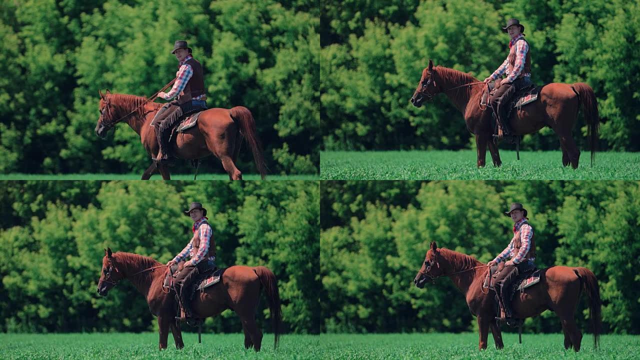 骑着马的牛仔骑手走到远处，然后停下来看着镜头