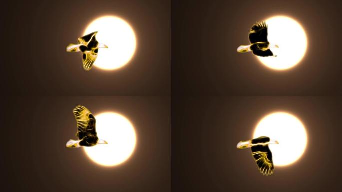 金色黄色霓虹灯秃鹰在太阳光下飞行卡通无缝循环动画黑色背景-新质量独特手工动态欢乐彩色视频动物鸟镜头
