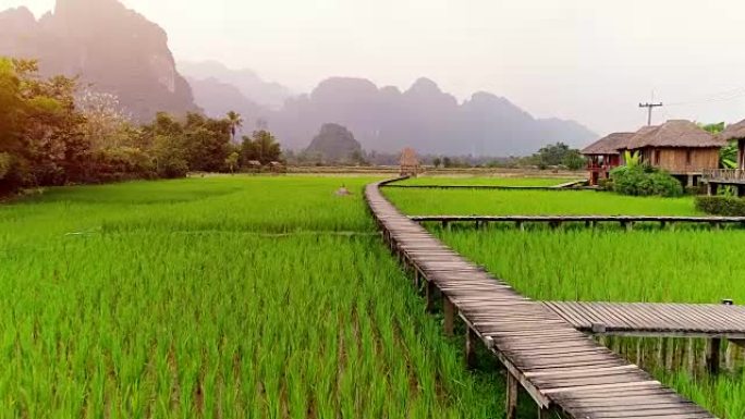 老挝万旺的木道和绿色稻田。