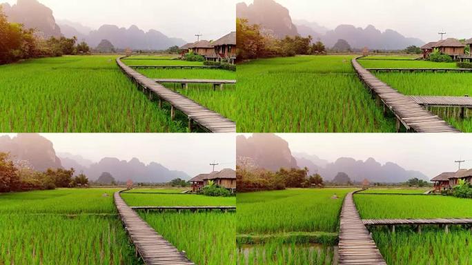 老挝万旺的木道和绿色稻田。