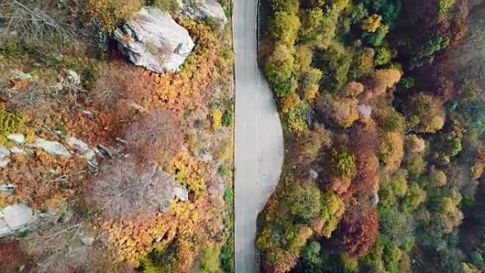 色彩缤纷的乡村秋天森林中道路的高架空中俯视图。秋天的橙色，绿色，黄色的红树树林。山脉街道路径建立。4