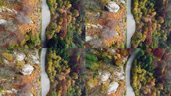 色彩缤纷的乡村秋天森林中道路的高架空中俯视图。秋天的橙色，绿色，黄色的红树树林。山脉街道路径建立。4
