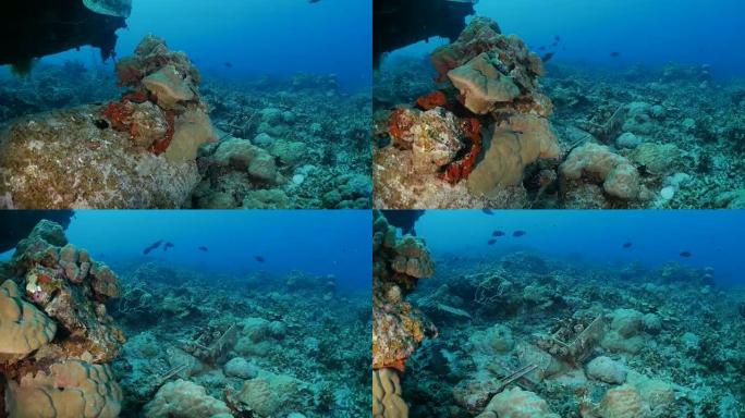 帕劳海底日本海军水上飞机残骸的货物