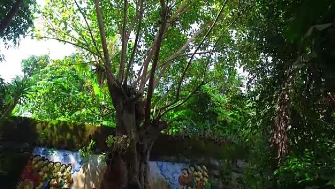印度尼西亚巴厘岛榕树下的佛陀