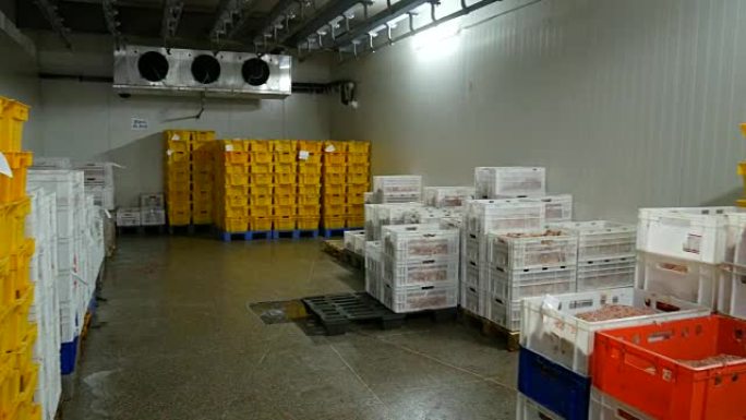 肉类包装厂的冷冻室配有现成的产品