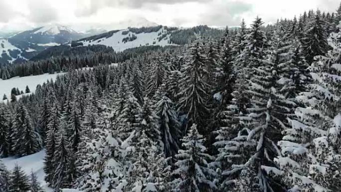 白雪皑皑的阿尔卑斯山森林天线