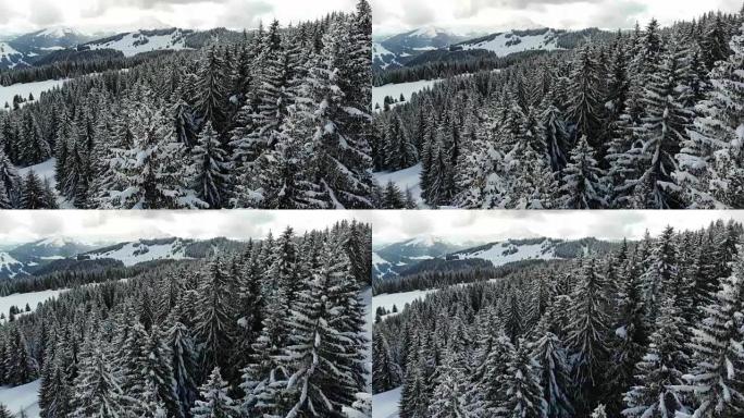 白雪皑皑的阿尔卑斯山森林天线