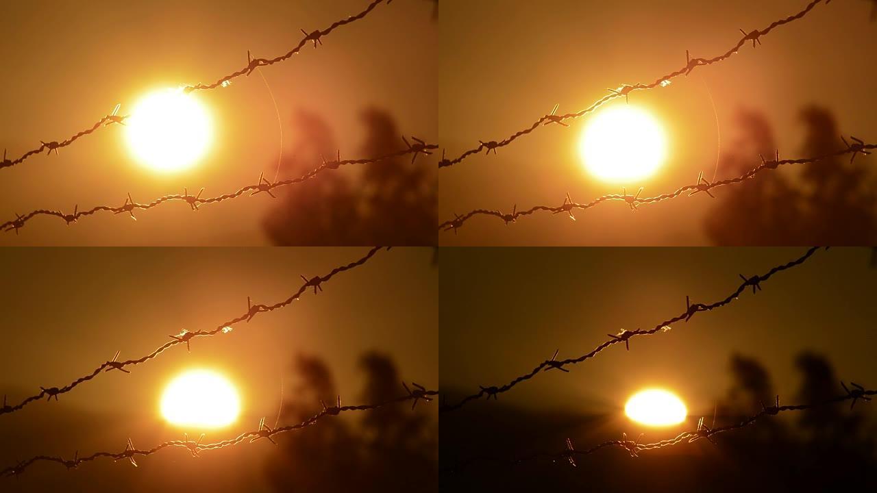 日落时分的太阳在倒钩的铁丝网中