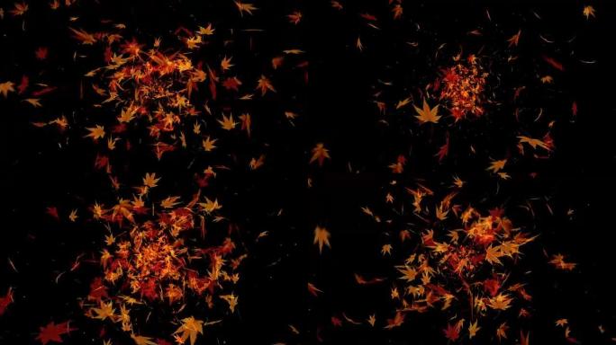 秋叶落在黑色背景上，枫叶，循环闪光动画，