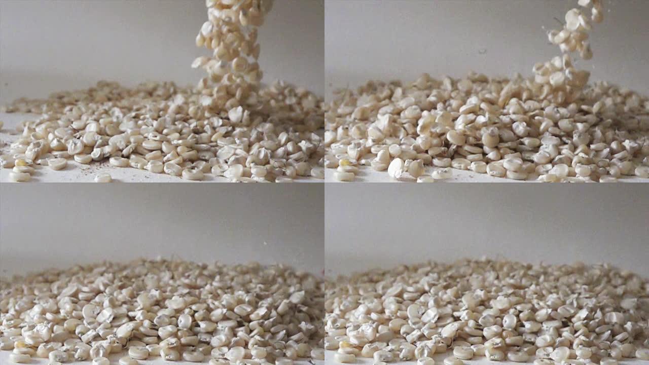 玉米谷物在慢动作中掉落