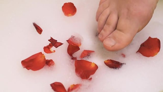 泡沫中的雌性脚和红玫瑰的花瓣