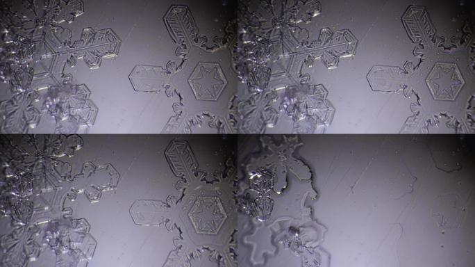 成对雪花出现，微镜头
