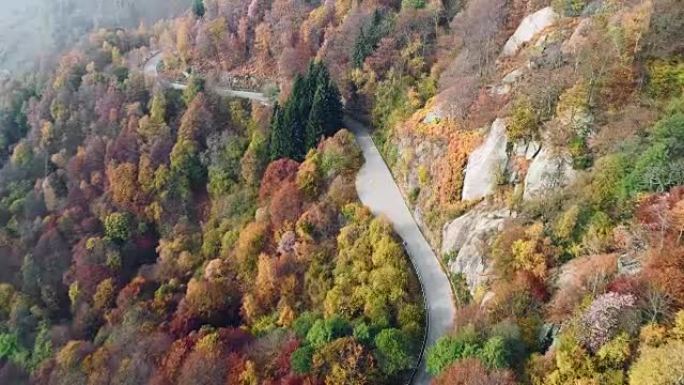 色彩缤纷的乡村秋天森林中道路的高架空中俯视图。秋天的橙色，绿色，黄色的红树树林。山脉街道路径建立。4