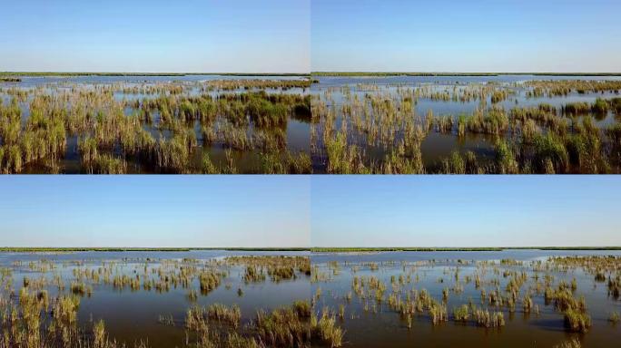 多瑙河三角洲无尽的水和芦苇，鸟瞰图