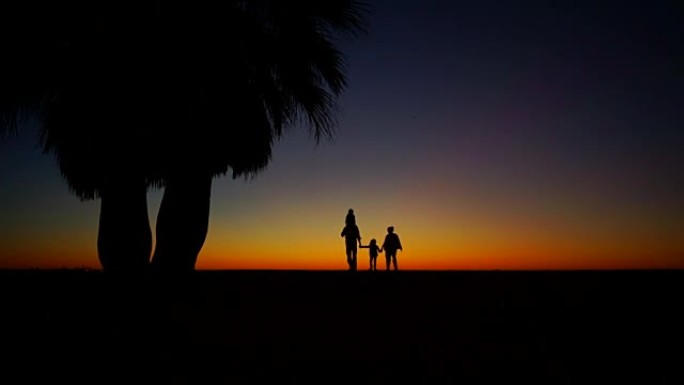 热带日落，棕榈树剪影在海洋海滩，女人，男人和孩子沿着海岸行走
